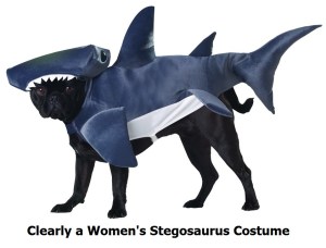 One of the options that results from a Google Image Search for "Women's Stegosaurus Costume."