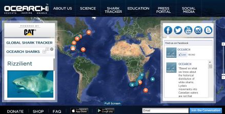 OMG, y'all! You can follow SPECIFIC SHARKS. And his name is "Rizzilient." It's like I'm stalking a shark rap star you guys!!! http://www.ocearch.org/