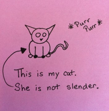 This is the only stick figure cat I have ever drawn